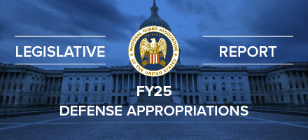 FY25 Report for Defense Appropriations