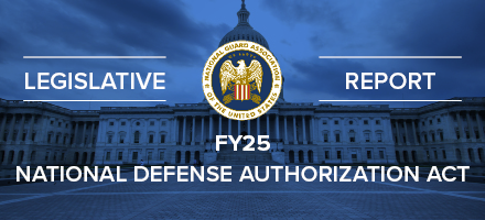 FY25 Report for National Defense Authorization Act