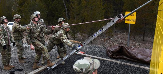 Guardsmen with Ladder